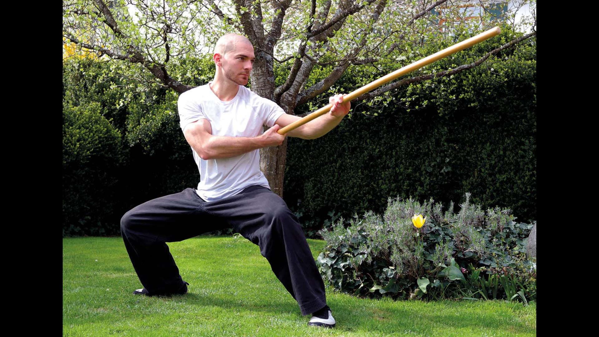 Learn Kung Fu Online | Choy Lee Fut, Combat Sports, Tai Chi & Qi Gong ...