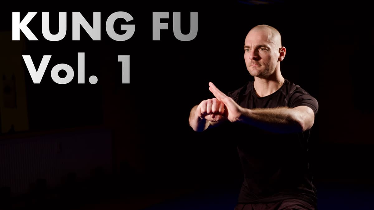 Fu Elearning Online Log In Learn Kung Fu Online | Choy Lee Fut, Combat Sports, Tai Chi & Qi Gong ...